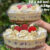 10~60  EMBALAGEM MINI COLOMBA C/ TAMPA PARA MOUSSE SALADA G34P GALVANOTEK 19X14,5X8,2CM