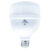 Lâmpada Led Globe Branca 40W 6500K Bivolt KIAN