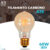 Lâmpada Filamento E27 Carbono A19 40W LUZ QUENTE (AMARELO) Âmbar 110V~220V