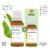 Óleo Essencial de Melaleuca (Tea Tree) 10ml PURO