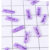 Mini Prendedor de Madeira Lilas 3,5cm – 50 Unidades – Rizzo Embalagens​