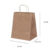 10~50 SACOLA KRAFT  20 X 13,5 X 22 -(LC)  REF:5805