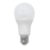 Lampada Led Bulbo A55 4,9 W 6500K Homeflex Fxh-370