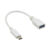 Cabo Adaptador OTG – USB-A / Type-C – Branco – Verde