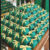 40~200 papel para bem casado verde + 40 celofane bem casado