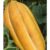 40 Sementes de Melão Comprido-Melon Largo-Long Melon Melão Gaúcho Germinação Garantida.