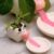 Cachepot Animal Bichinho Regador Em Porcelana Pequeno Decoração