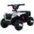 Quadriciclo Elétrico Infantil 6v Carrinho Andador Zippy Toys com Farol e Marcha Frente e Ré