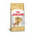 ACC SBN GOLDEN AD 10,1 KG