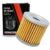 Filtro de Óleo para Suzuki Yes 125 / Intruder 125 / Burgman 125 Vedamotors