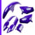 Kit Carenagem Roupa Cg Titan 125 Roxo Azul Abrolhos 1998 Até 1999 Paralama +Rabeta +Tampas C/Brilho Envernizado