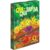 Jogo de Cartas Qui-Quitanda – PaperGames