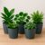 Kit 12 Vasos Jardineira Flor Planta Hortaliça Concreto Prato Anti Dengue DasPlast Plastico Reforçado