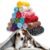 Cobertor Soft Sleep LaviPet Estampas Cores Sortidas Tam. M