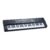 Teclado Musical Queen´s 54 Teclas para Iniciantes com alto falantes e entrada p/microfone