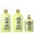 Kit Shampoo e Condicionador Antiqueda 430 ml + Creme de Pentear Antiqueda 320 ml Gota Dourada