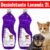 Kit 2 Desinfetantes Eliminador de Odores Para Cão e Gato – 2L Cada – Lavanda – Be Dog