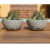 Kit 2 Vasos Bacia Polietileno Para Plantas cactos e suculentas N1 (26×13) Com Prato