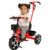 Triciclo Infantil Bicicletinha com Haste Cestos e Buzina Bicicleta de Passeio 2 em 1 Zippy Toys