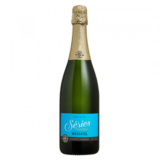 ESPUMANTE SALTON SERIES MOSCATEL 750ML