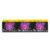 Sabonete Francis Intenso Lilas Lavanda 85g – Embalagem com 12 Unidades