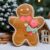 Biscoito Natal de Pelúcia com Laço Rosa e Pirulito – 23cm – 1 unidade – Rizzo
