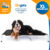 Cama Suspensa Elevada Pet Cães 120x90cm Tamanho Xl Até 90kg Dogets