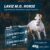 Kit 2 Laviz M.O Horse 2x40g Suplemento –  Lavizoo