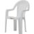 Cadeira Para Jardim Plástica Jacarecica 152 Kg Polímero Poltrona Descanso Camping Cor Branco