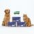 Kit 1 a 4 Remédio de Verme Vermivet Vermífugo Para Cães e Gatos Validade Longa Caixa com 4 Comprimidos (Blister + Bula)