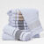 Kit 10 Panos Felpudo Premium de Prato Jacquard Premium Atoalhado Qualidade