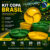 Kit 05 10 15 20 25 Petisqueira Copa 2026 Pequena Divisória Petiscos 18 cm