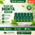 KIT 06 UNIDADES – ÓLEO DE MENTA NATURAL APINIL
