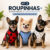 Kit 3 Roupinha para Cachorro Pequeno Pinscher Inverno Frio Pet Roupa de Cachorro Filhote Confortável