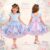 Vestido Infantil Menina Temático Roupa Infantil Alice No País Das Maravilhas Personagem Encantado