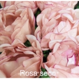 24 Forminhas ROSA SECO Para Doces Finos, Para Casamento Aniversários, Debutantes e Decoração MOD. CELEBRARE