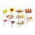 KIT 10 PLAQUINHAS DIVERTIDAS SELFIE FESTA JUNINA ARRAIAL  (COD 54.19)