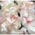 24 Forminhas OFF WHITE Para Doces Finos, Para Casamento Aniversários, Debutantes e Decoração MOD. CELEBRARE