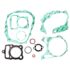Conjunto Curto Infantil Menino Skate Elian Cinza