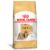 Ração Royal Canin para Cães Adultos da Raça Shih Tzu – 1Kg