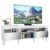 Rack Retrô com Espelho para TV até 65″ Multimóveis Paris FG3332 com 2 Portas Branco