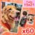 Revelar Fotos 15×21 (60 Unidades)