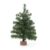 Mini Pinheiro Verde 53H – 45 cm – 1 unidade – Cromus – Rizzo