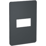 Placa 4×2 1 Posto Horizontal Stellar Black Schneider