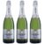 KIT 03 ESPUMANTE CASA PERINI MOSCATEL 750ML