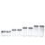 Kit 8 pote de vidro com tampa inox bolhas redondo 800ml, 1300ml, 1700ml e 2200ml – Mozcada