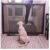 Proteção De Portas Tela Grade Redinha Em Nylon Cães Bebe – Petlon
