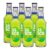 KIT 06 ICE 51 KIWI 275ML