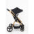 Carrinho de Passeio Galzerano Ivy 0 a 15kg com Cesto Moises