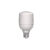 Lampada Led Bulbo Hp 6500K 110/220v 30w E27 – Avant